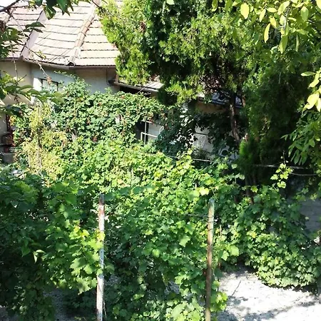 In - Balaton 20236 度假居 *