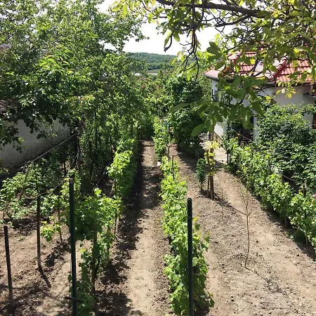 Holiday home In - Balaton 20236 *