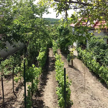 Holiday home In Tihany/balaton 20236 *