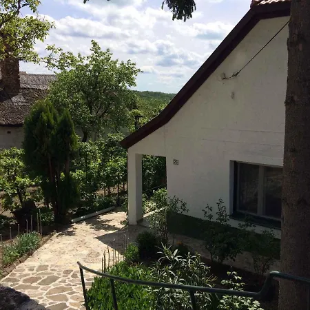 度假居 In - Balaton 20236 蒂豪尼