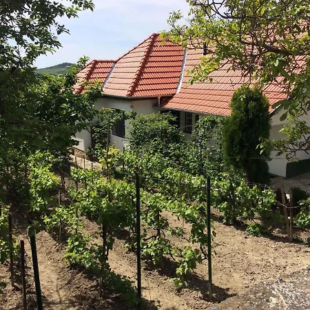 Σπίτι διακοπών In Tihany/balaton 20236