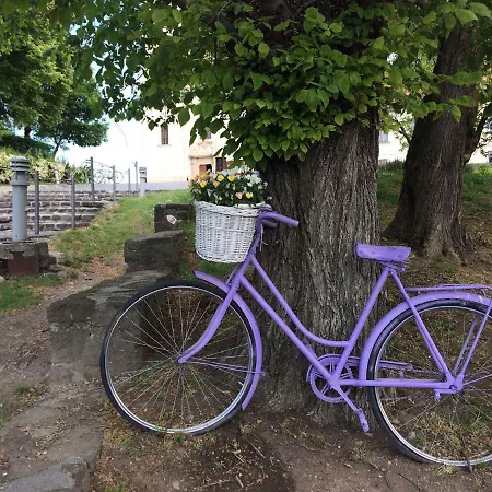 In - Balaton 20236 度假居 *