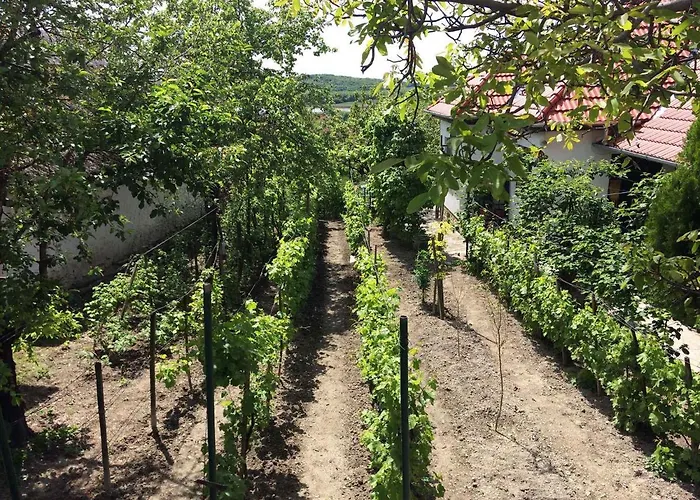 Holiday home In - Balaton 20236 *